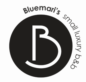 Logo Bluemari's
